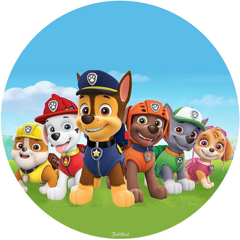 PAW Patrol 465